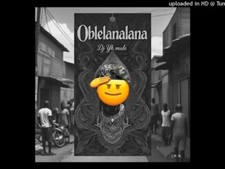 DJ YK Mule - Oblelanalana