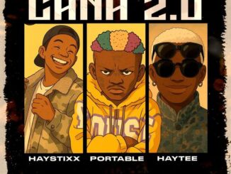 Haystixx - CANA REMIX ft. Portable & Haytee
