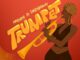 Kashcoming - Trumpet ft. Dwillsharmony