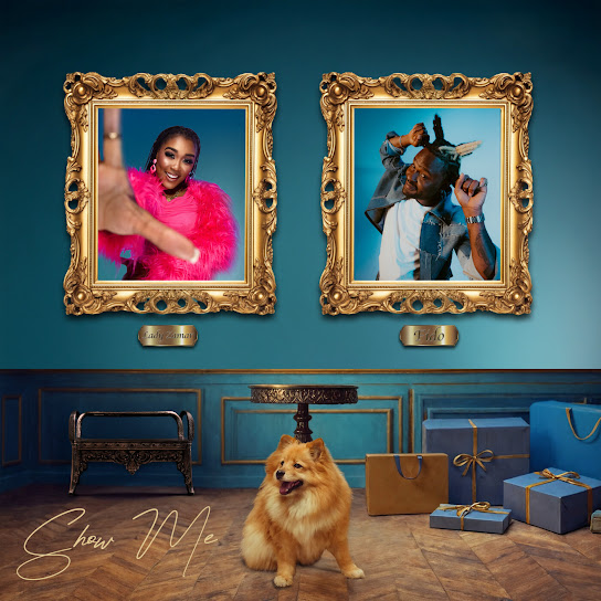 Lady Zamar – show me ft. Fido