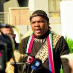 Ngizwe Mchunu says he’s in America to protect SA peace