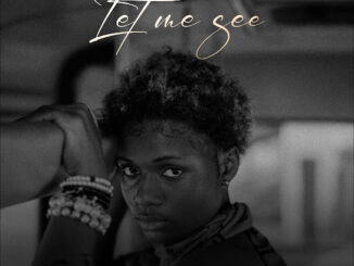 Salle - Let me see