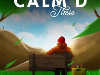 Tiimie - Calm D