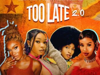 Wendy Shay - Too Late ft. Guchi, Bedjine & Phina