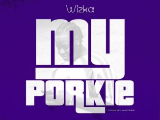 Wizka - My Porkie