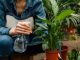 10 common mistakes that can kill your plants