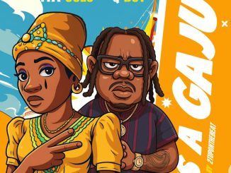 Iya Solo - Is a Gaju ft. Qdot