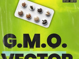 Vector - G.M.O. (Freestyle) 11 Vector - G.M.O. (Freestyle)