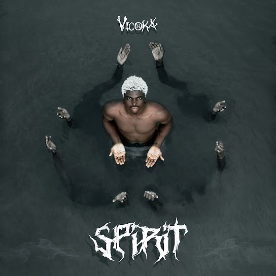 Vicoka – WHY
